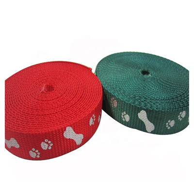 Fashion Patterned Webbing (1) – 400