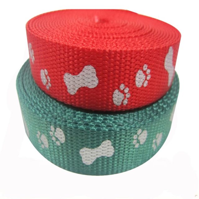 Fashion Patterned Webbing (6)