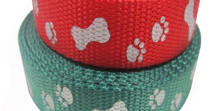 Fashion Patterned Webbing (6)