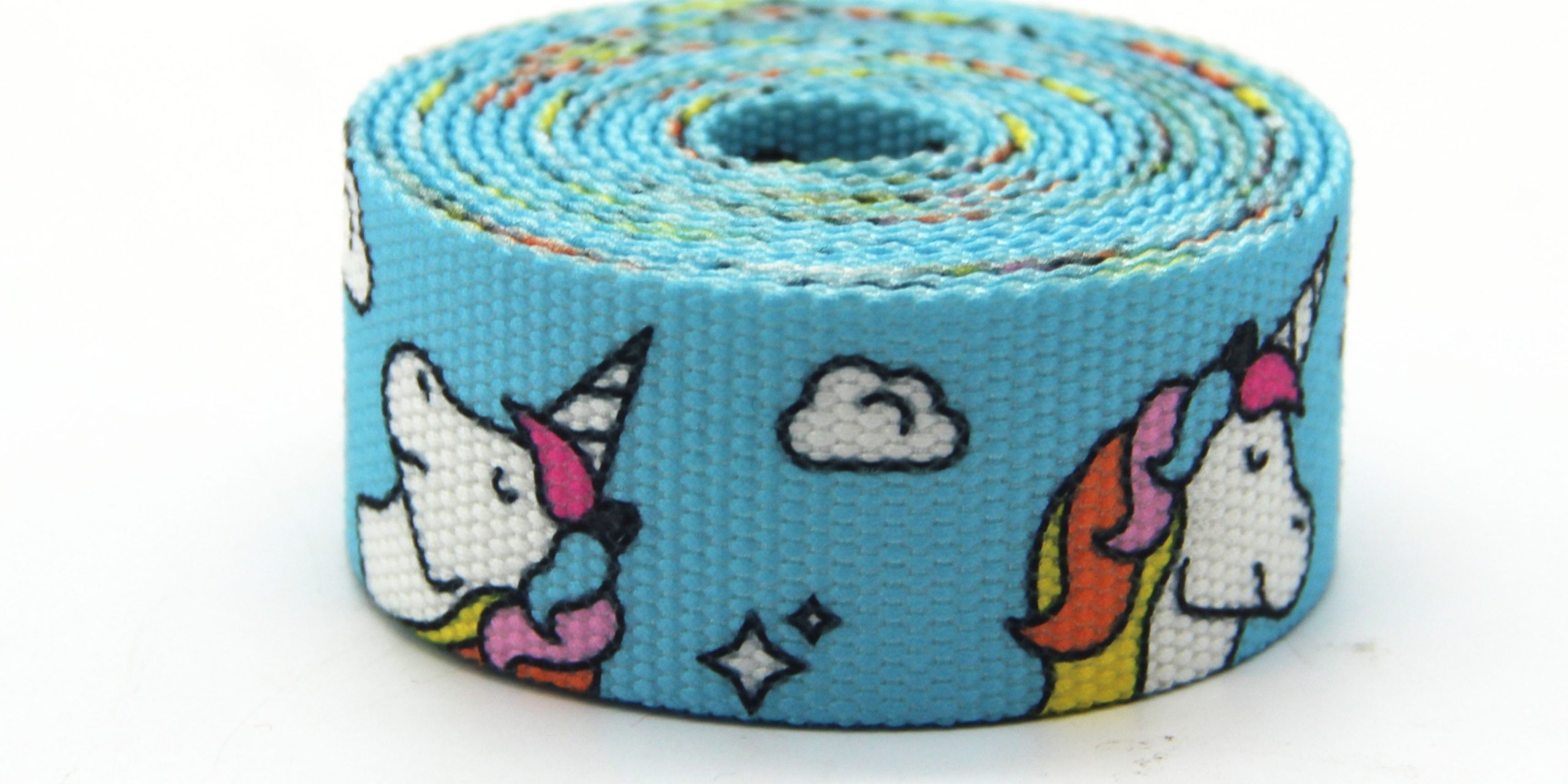 Hot Sale Cotton Webbing (3)