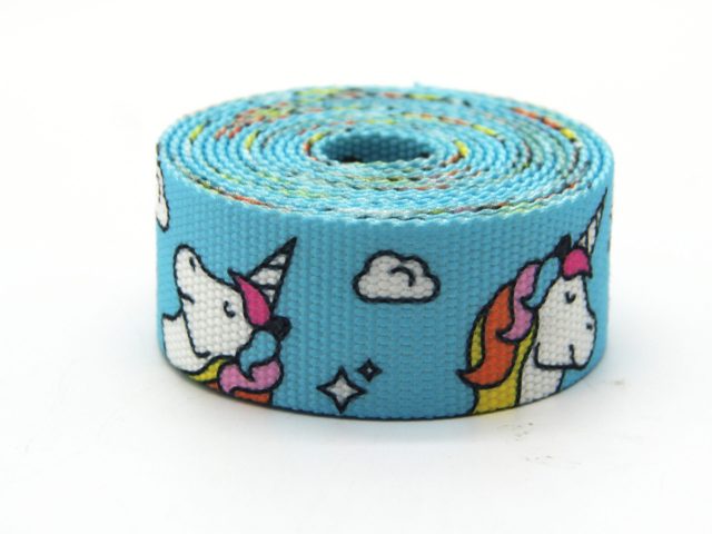 Hot Sale Cotton Webbing (3)