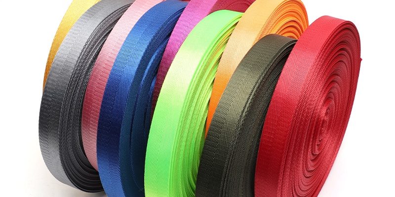 Hot Sale Polyester Webbing (3)