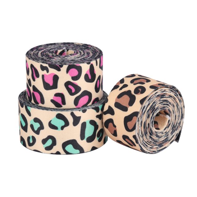 Hot Sale Polyester Webbing (4)