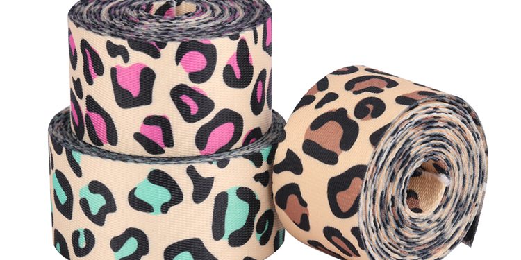 Hot Sale Polyester Webbing (4)